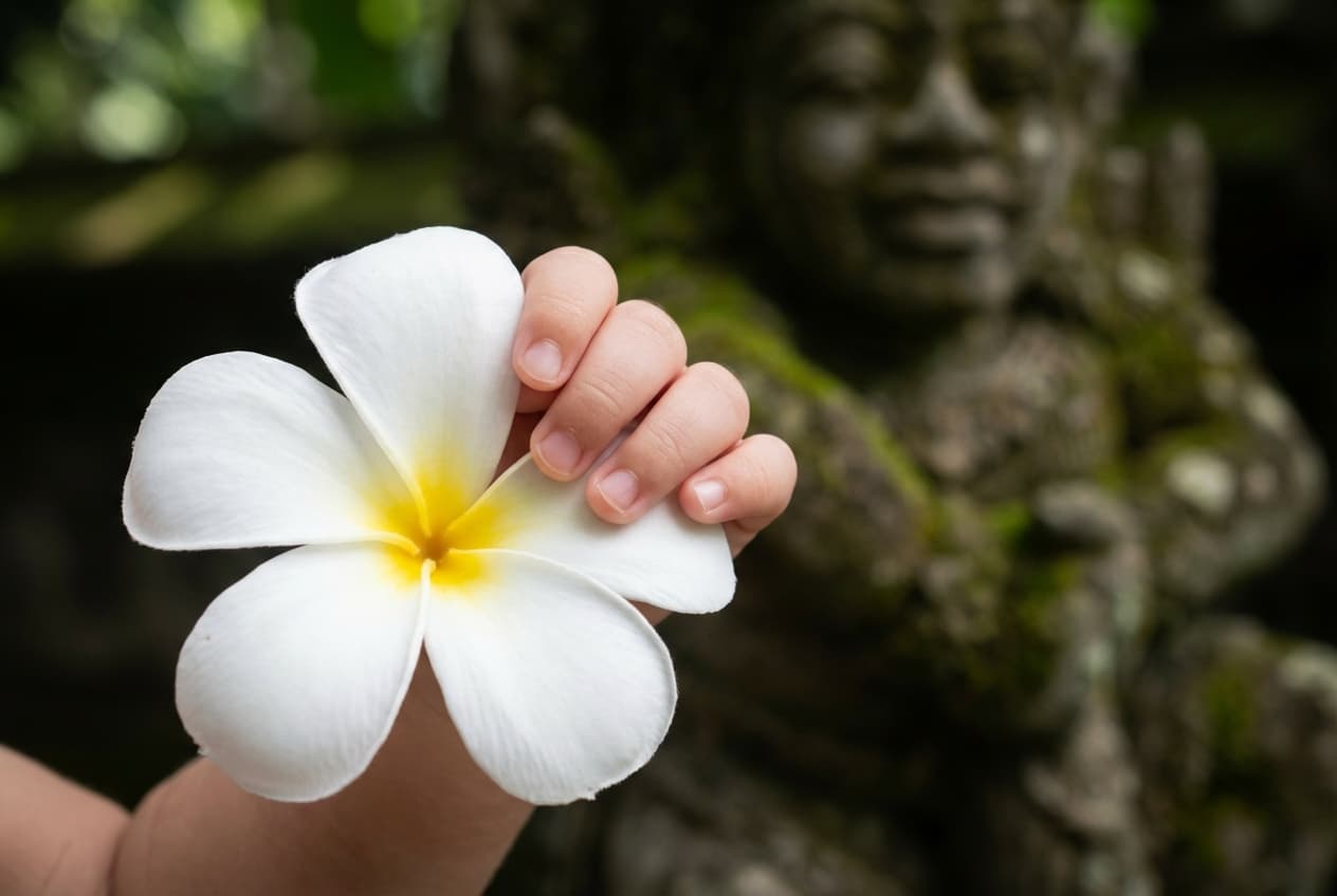 Organiser un séjour à Bali avec un bébé sereinement Gros plan d'une main de bébé et d'une fleur de frangipanier, symbole de Bali.